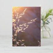 's ochtends tarwe bedankkaart (Staand voorkant)