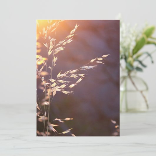 's ochtends tarwe bedankkaart (Staand voorkant)