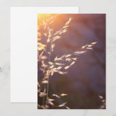 's ochtends tarwe bedankkaart (Voorkant / Achterkant)