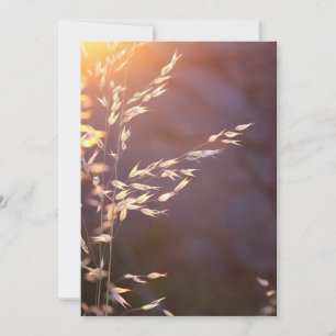 's ochtends tarwe bedankkaart