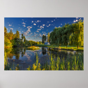's Ochtends vangt een slough van de rivier de Flat Poster