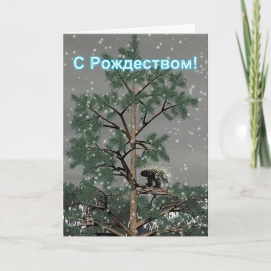 S Rozhdestvom - Stekelvarken in een dennenboom Feestdagen Kaart (Voorkant)