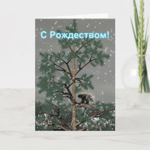 S Rozhdestvom - Stekelvarken in een dennenboom Feestdagen Kaart