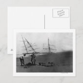 S.S. Alice McDonald Wreck Ilwaco Peninsula Briefkaart (Voorkant / Achterkant)