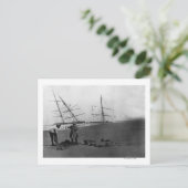 S.S. Alice McDonald Wreck Ilwaco Peninsula Briefkaart (Staand voorkant)