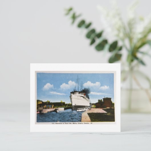 S.S. Assiniboia van Sault Ste. Marie, Ontario, CA Briefkaart (Staand voorkant)