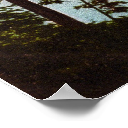 S.S. Northland Leaving Harbour Springs, Michigan Poster (Hoek)