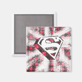 S-Schilderen boven bezwaarde Magneet (Voorkant / Achterkant)