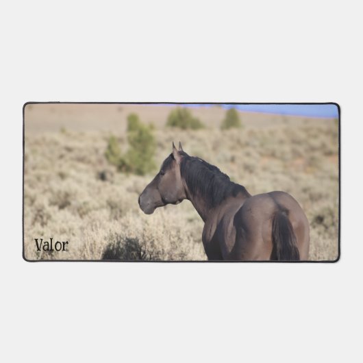 S Steens Stallion Bureaumat (Voorkant)