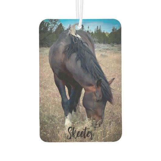 S Steens Stallions Air Freshener Luchtverfrisser (Achterkant)