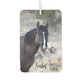 S Steens Stallions Luchtverfrisser (Voorkant)