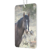 S Steens Stallions Luchtverfrisser (Links)