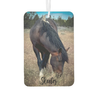 S Steens Stallions Luchtverfrisser