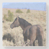 S Steens Stone Coaster Stenen Onderzetter (Voorkant)