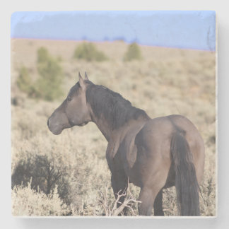 S Steens Stone Coaster Stenen Onderzetter