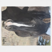 S Steens Waarde Fleece Deken (Voorkant (Horizontaal))