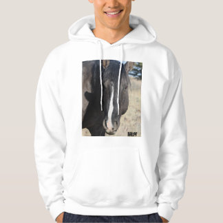 S Steens Waarde Hoodie