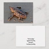s Turtle Hatchling note card Notitiekaartje (Voorkant / Achterkant)