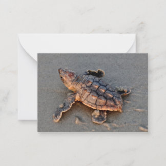 s Turtle Hatchling note card Notitiekaartje