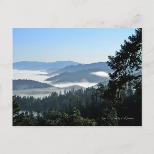 's Voorjaars ochtendgeluiden.. Briefkaart (Voorkant)