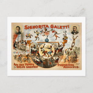 's Werelds best presterende apen 1892 Briefkaart