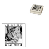 's Werelds beste kat-mam schildert Lijst voor foto Rubberstempel (Gestempeld)