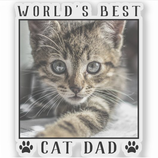's Werelds beste kat-pap schildert foto-Lijst afdr Sticker (Voorkant)