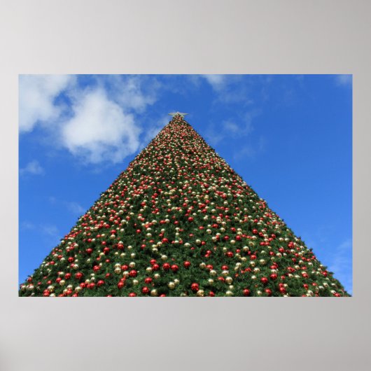 's Werelds grootste kerstboom. Poster (Voorkant)