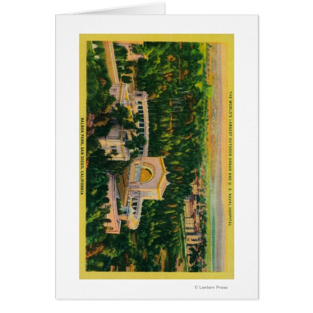 's Werelds grootste openluchtorgaan (Voorkant)