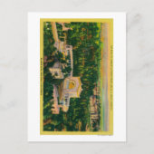 's Werelds grootste openluchtorgaan Briefkaart (Voorkant)