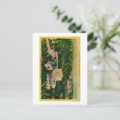 's Werelds grootste openluchtorgaan Briefkaart (Staand voorkant)