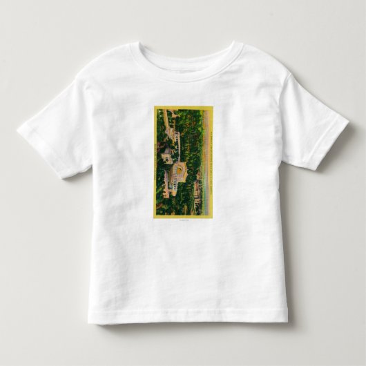's Werelds grootste openluchtorgaan Kinder Shirts (Voorkant)