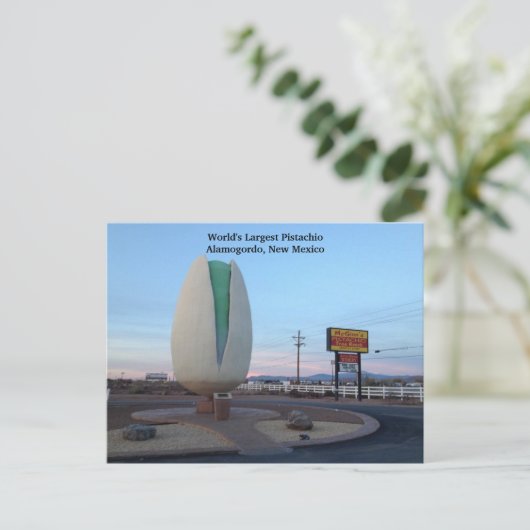 's Werelds grootste Pistachio Briefkaart (Staand voorkant)