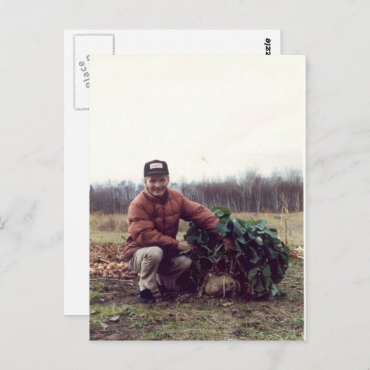 's Werelds GROOTSTE rutabaga! Briefkaart (Voorkant / Achterkant)