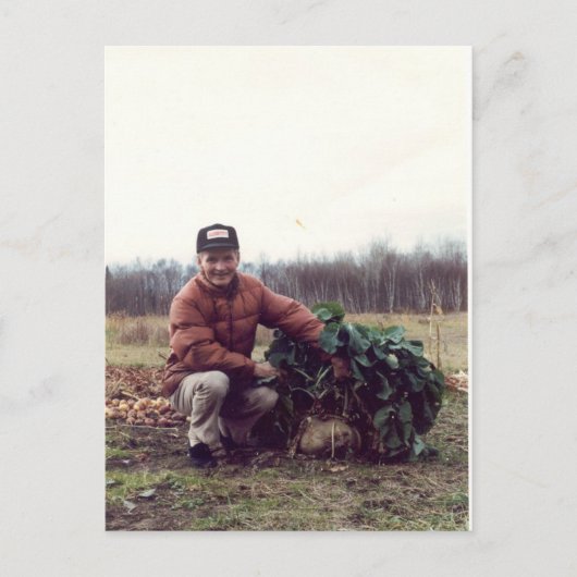 's Werelds GROOTSTE rutabaga! Briefkaart (Voorkant)