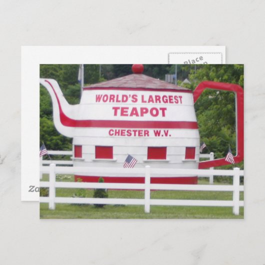 's Werelds grootste theepot Briefkaart (Voorkant / Achterkant)