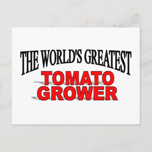 's Werelds grootste tomatenteelt Briefkaart (Voorkant)