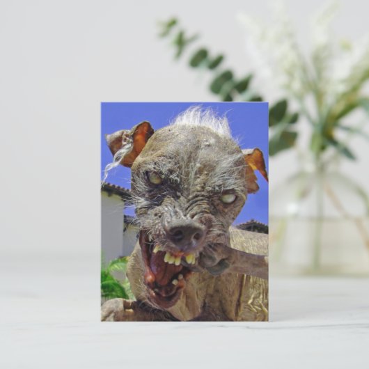 's Werelds lelijkste hond Briefkaart (Staand voorkant)