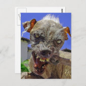 's Werelds lelijkste hond Briefkaart (Voorkant / Achterkant)