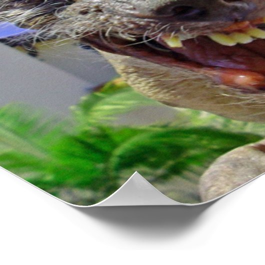 's Werelds lelijkste hond Poster (Hoek)