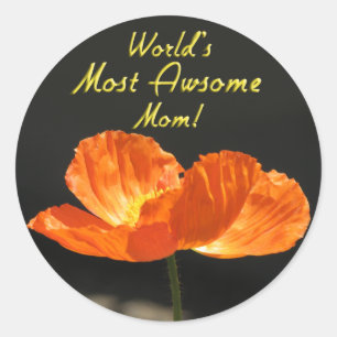 's Werelds meest Geweldige moeder Ronde Sticker