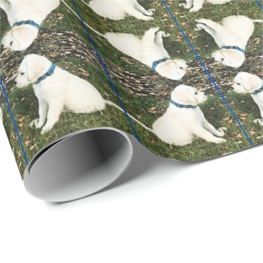 's Werelds meest kutste puppy. Verpakkingspapier Cadeaupapier (Rol Hoek)