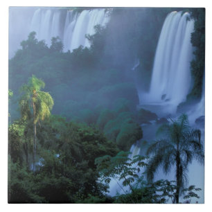 SA, Brazilië, Parana staat; Iguacu NP, Iguacu Tegeltje