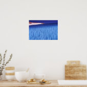 SA, Chili, regio Coquimbo, Nieve Penitente; Poster (Keuken)