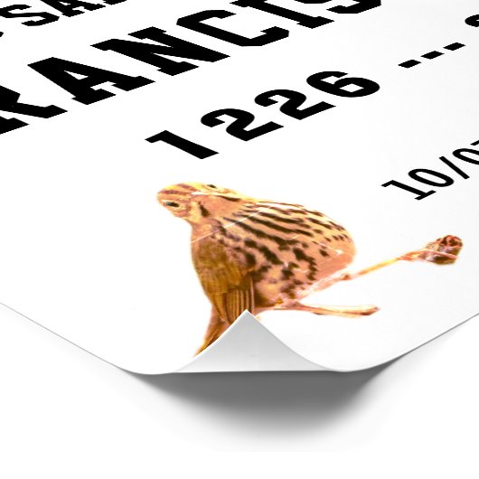 Sa  Francisco de Assisi Glossy Poster (Hoek)