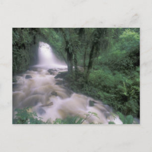 SA, Peru, S.H. Machu Picchu, Cascade en cloud Briefkaart