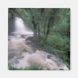 SA, Peru, S.H. Machu Picchu, Cascade en cloud Magneet