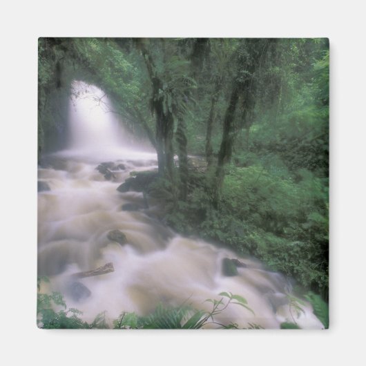 SA, Peru, S.H. Machu Picchu, Cascade en cloud Magneet (Voorkant)