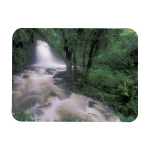 SA, Peru, S.H. Machu Picchu, Cascade en cloud Magneet