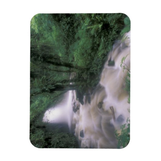 SA, Peru, S.H. Machu Picchu, Cascade en cloud Magneet (Verticaal)